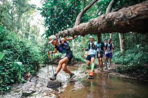 BIB: 
                            <button type="button" onclick="openModal(25368766)" class="btn btn-primary btn-sm float-right btn-popup" data-toggle="modal" data-target=".modal-high-quality">
                        <i class="fas fa-shopping-cart"></i> Add to Cart
                    </button>
                                            <button type="button" onclick="isThisMe(25368766, true)" class="btn btn-success btn-sm float-right btn-popup btn-isme hidden" data-toggle="tooltip" data-placement="bottom" title="นี่คือรูปของคุณใช่ไหม คลิกที่นี่เพื่อเอาเข้าอัลบั้ม">
                        <i class="fas fa-plus"></i> Add to album
                    </button>
                    <button type="button" onclick="isThisMe(25368766, false)" class="btn btn-warning btn-sm float-right btn-popup btn-isnotme hidden">
                        <i class="fas fa-ban"></i> Remove from album
                    </button>